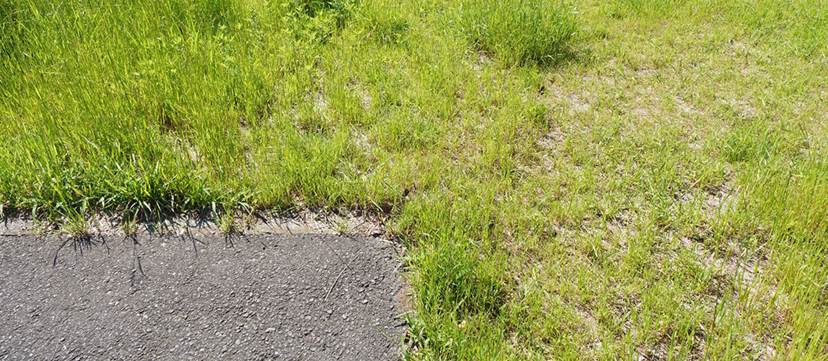 そのまま放置していませんか？空き家・空き地のリスクと対応策